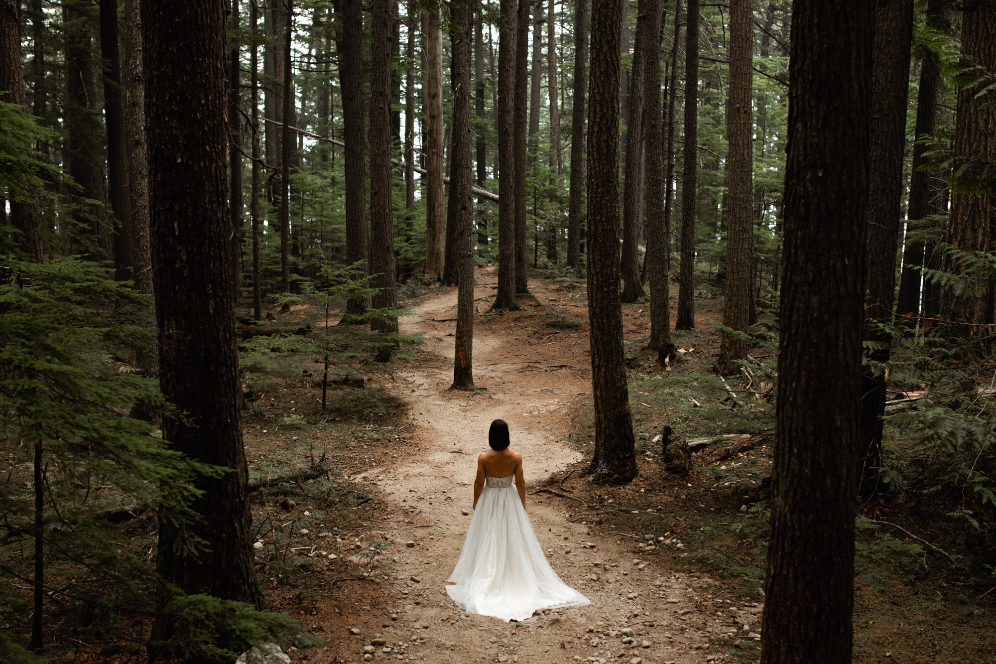 Revelstoke BC Waterfall Elopement