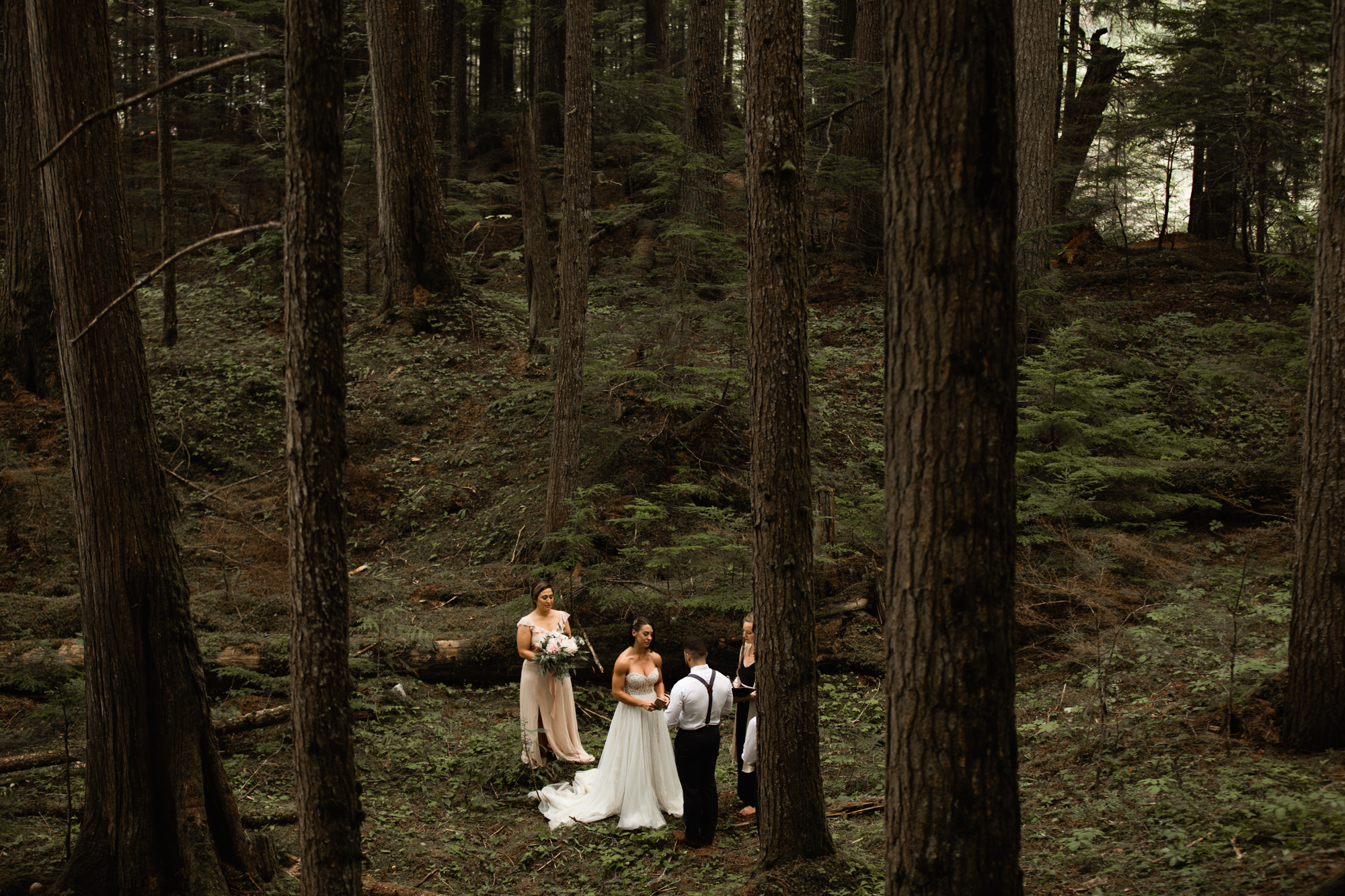 Revelstoke BC Waterfall Elopement