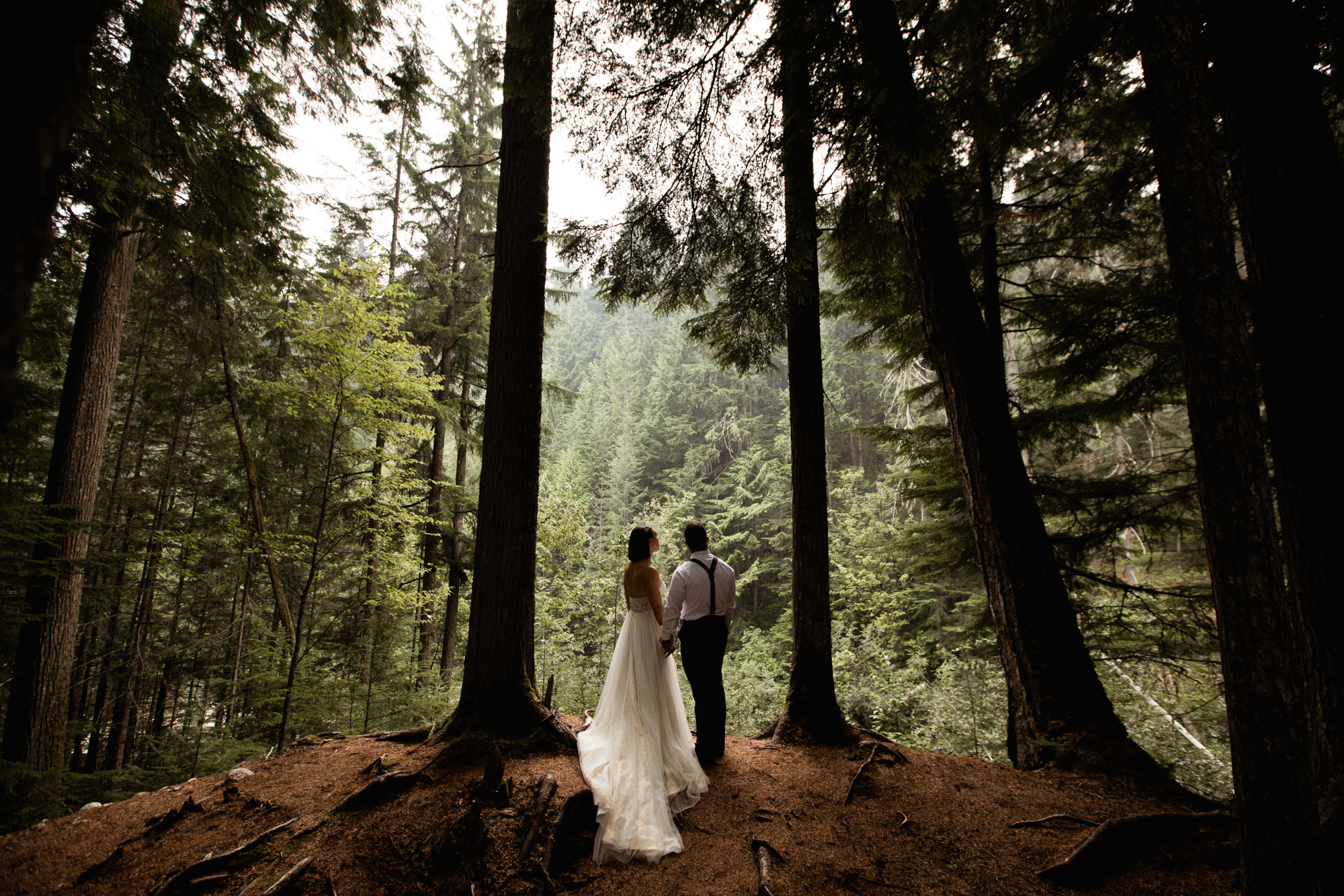 Revelstoke BC Waterfall Elopement