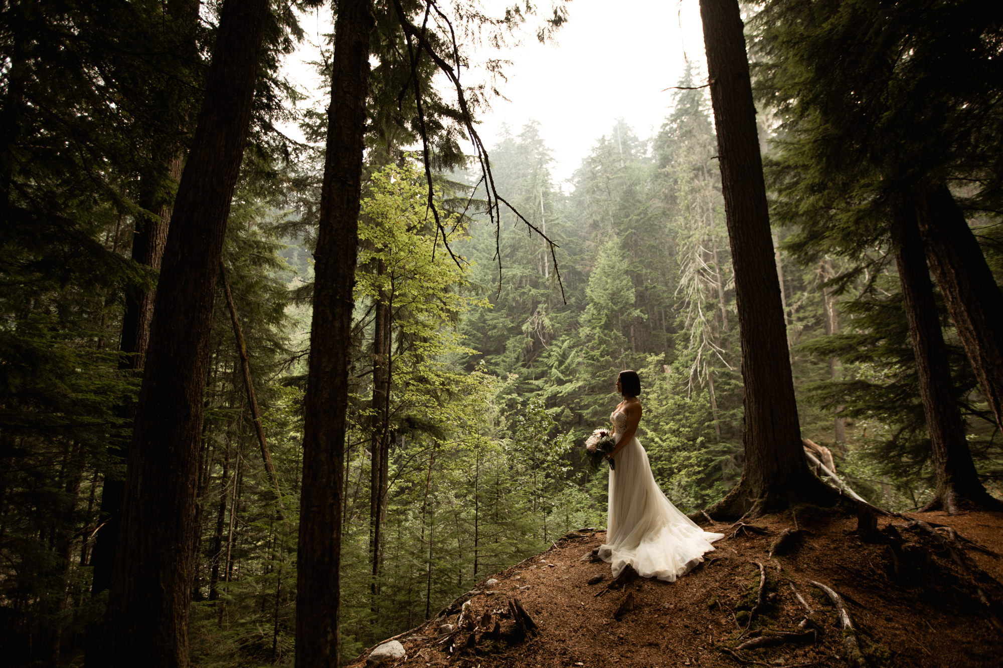 BC forest elopement