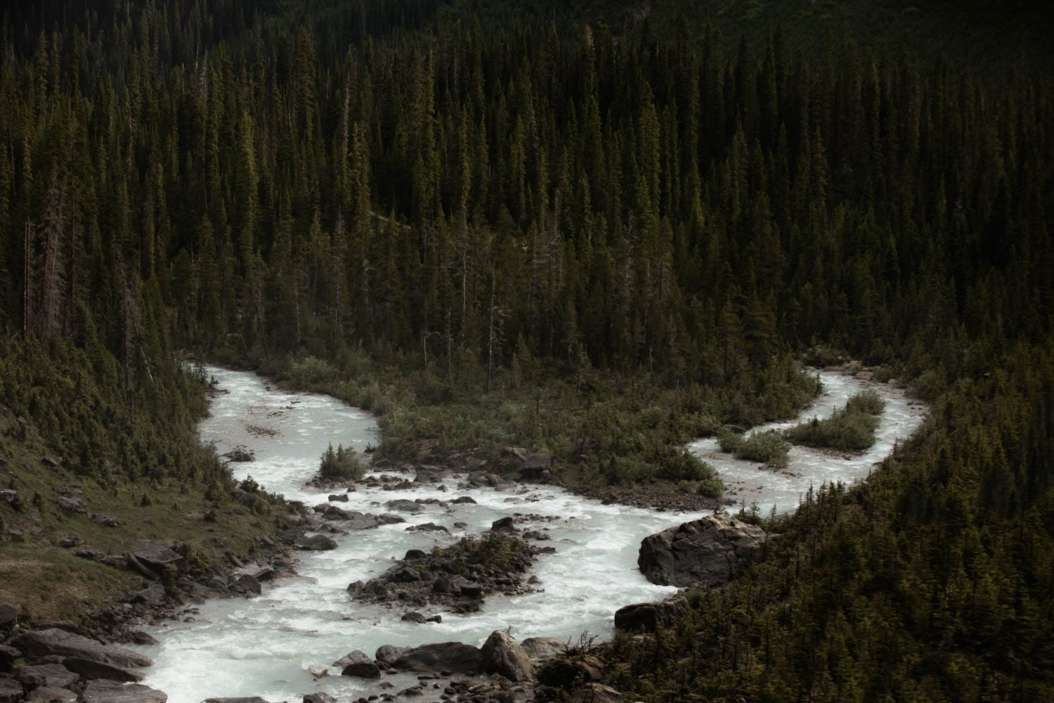 Banff Adventure Wedding Photographers