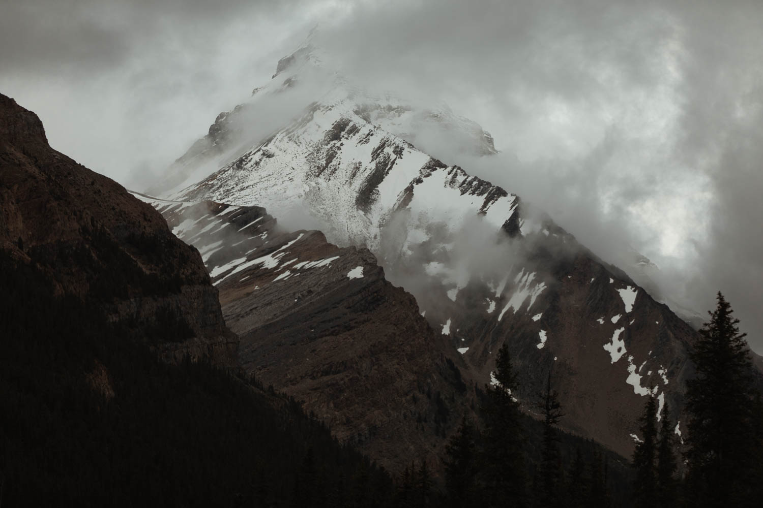 Banff Mountain View