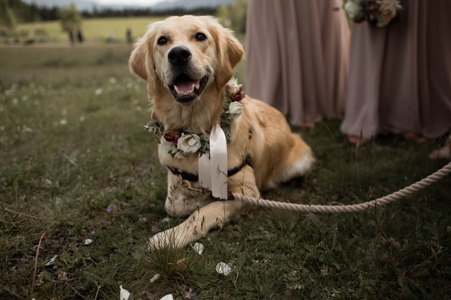 Canmore Cornerstone Theatre Wedding