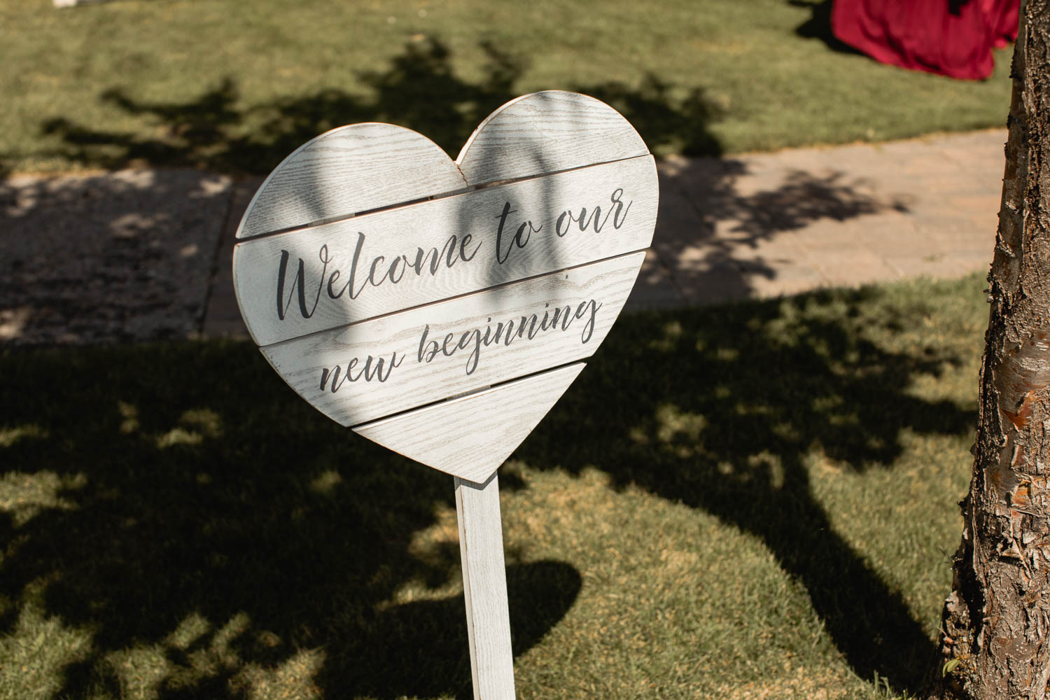 Invermere Eagle Ranch Resort Wedding