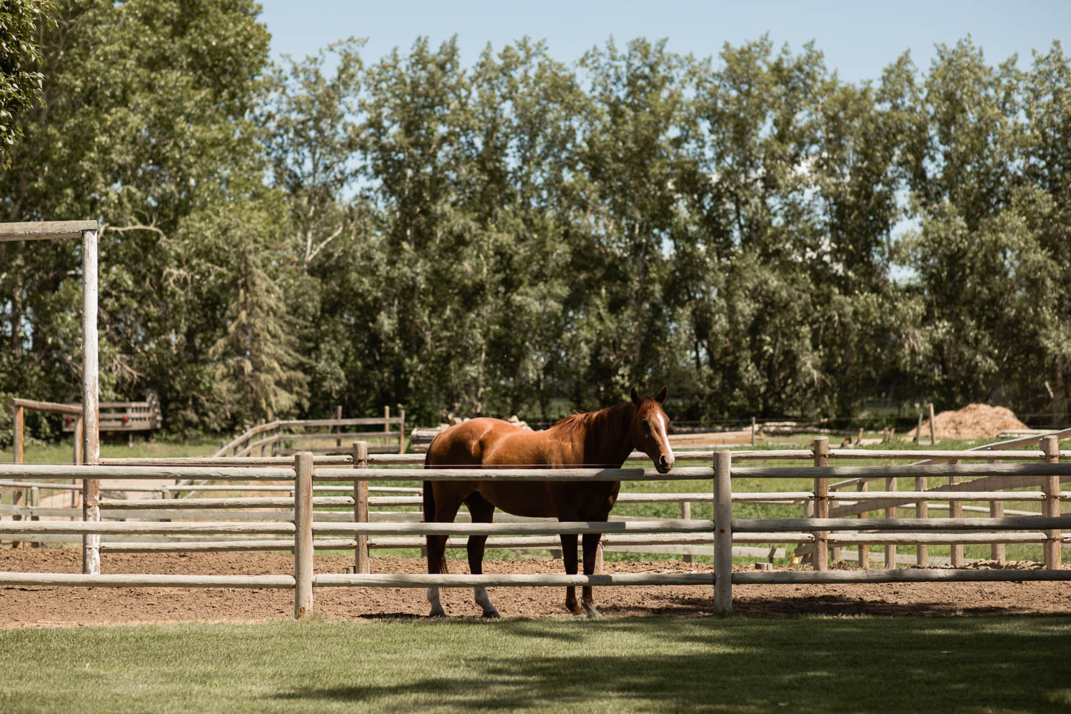 Strathmore Ranch Wedding