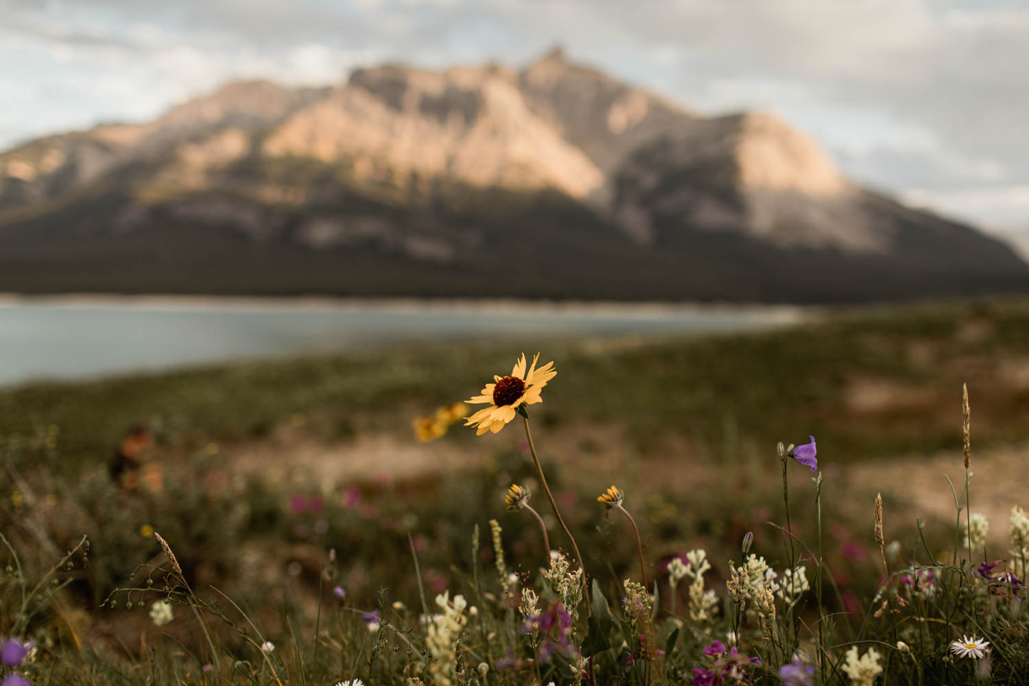 Canmore wedding Photographers