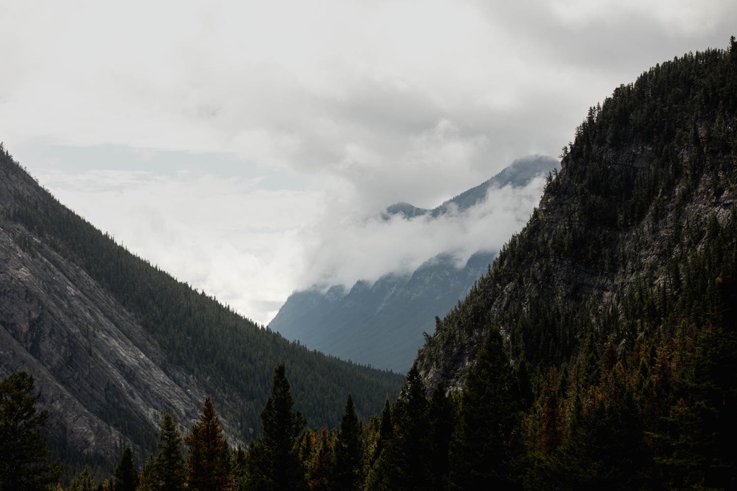 banff mountain views
