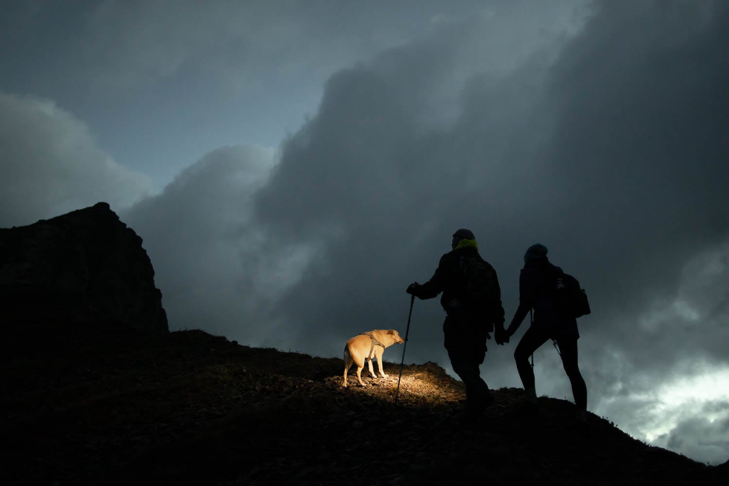 engaged couple hiking with dog