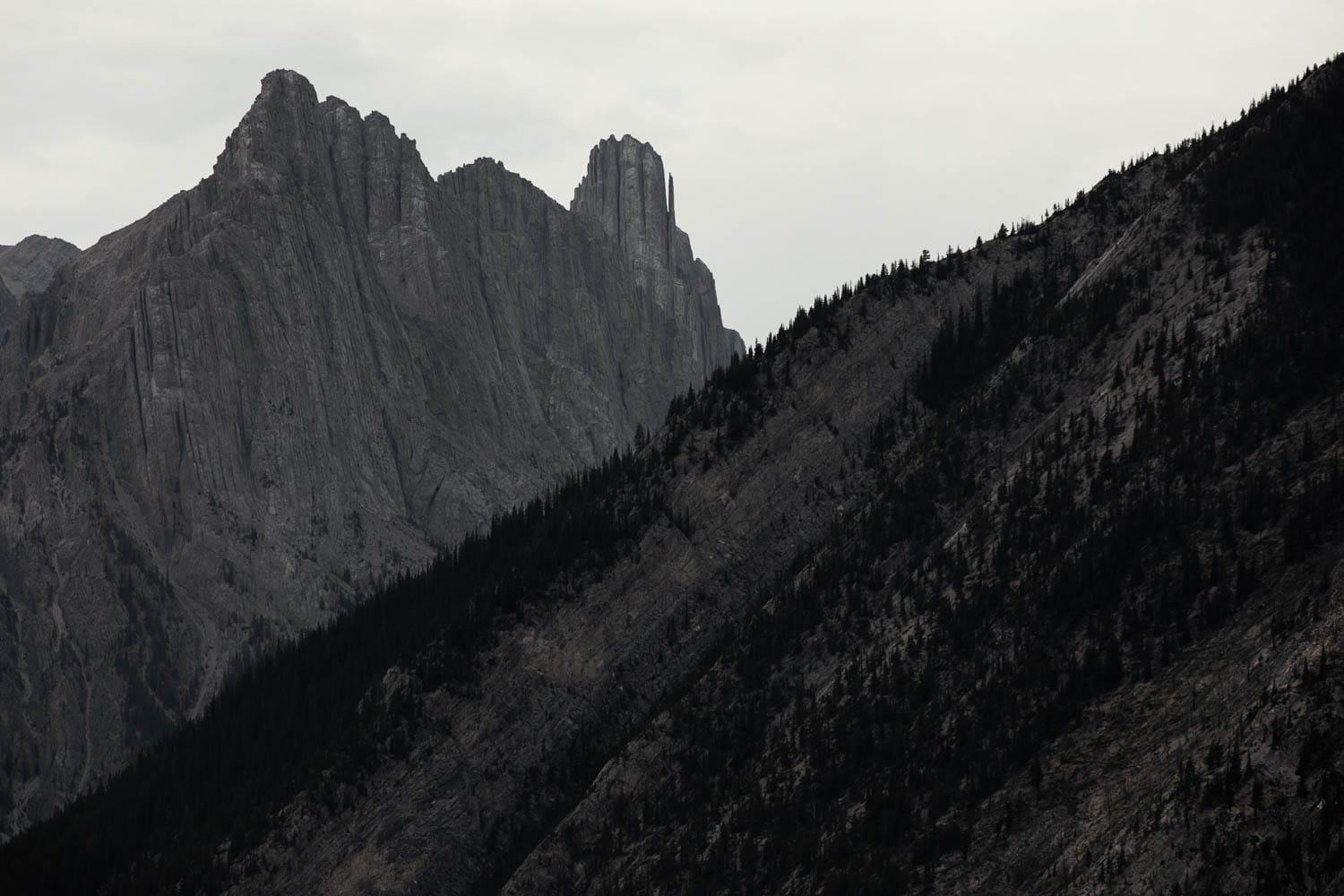 Banff Mountain View