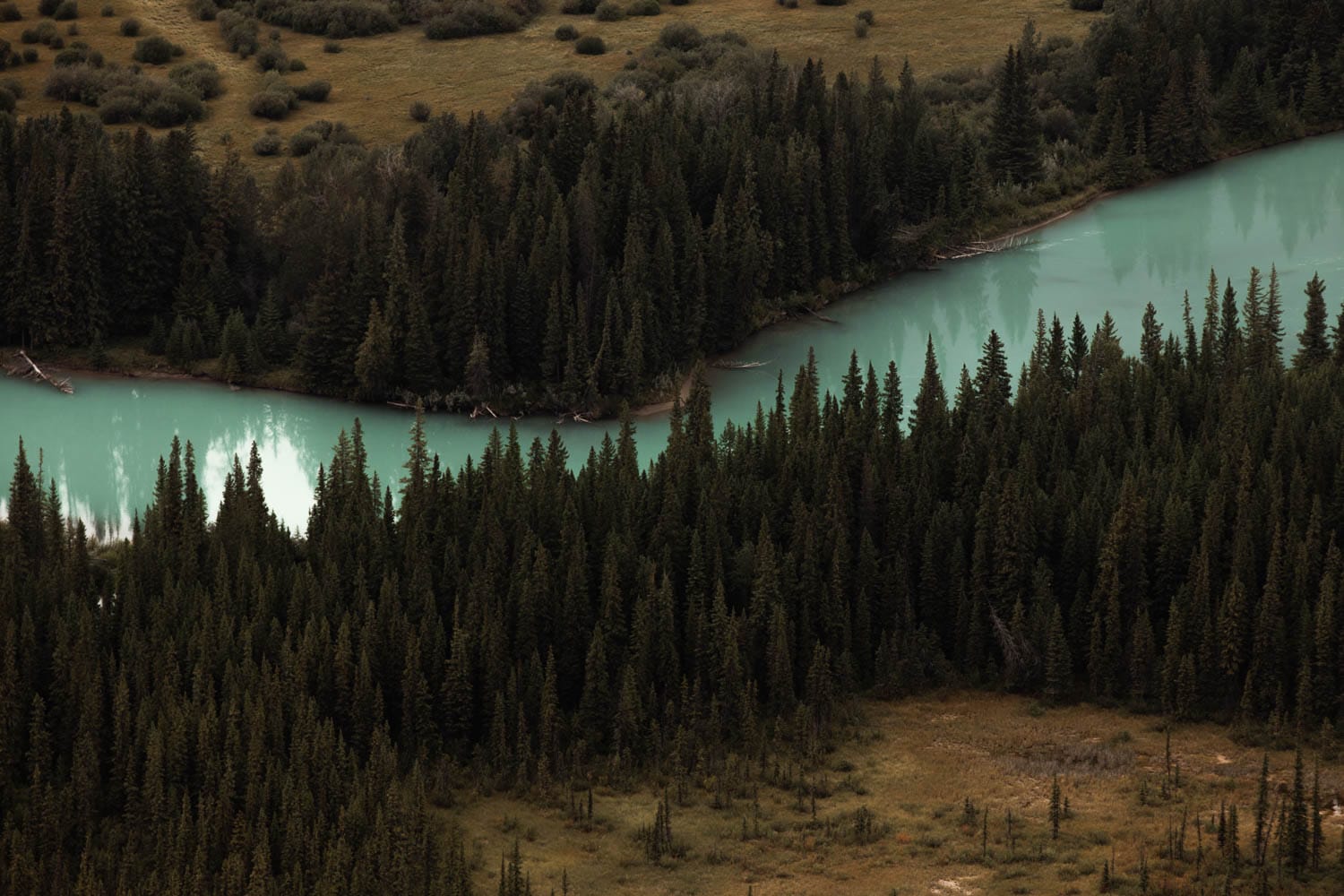 Bow River from above