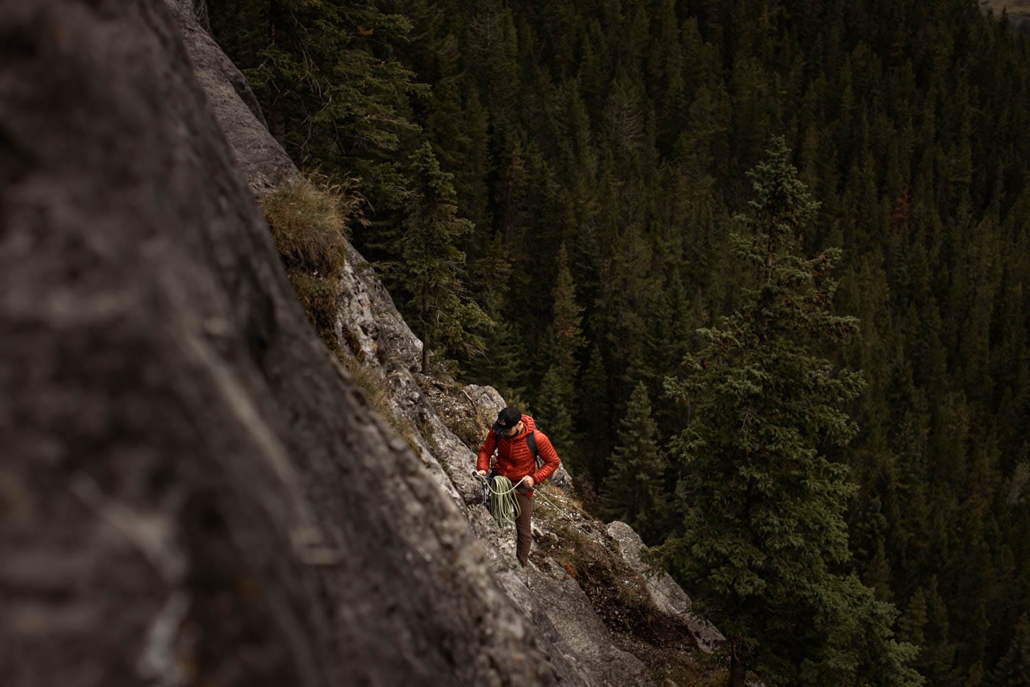 Groom climbing