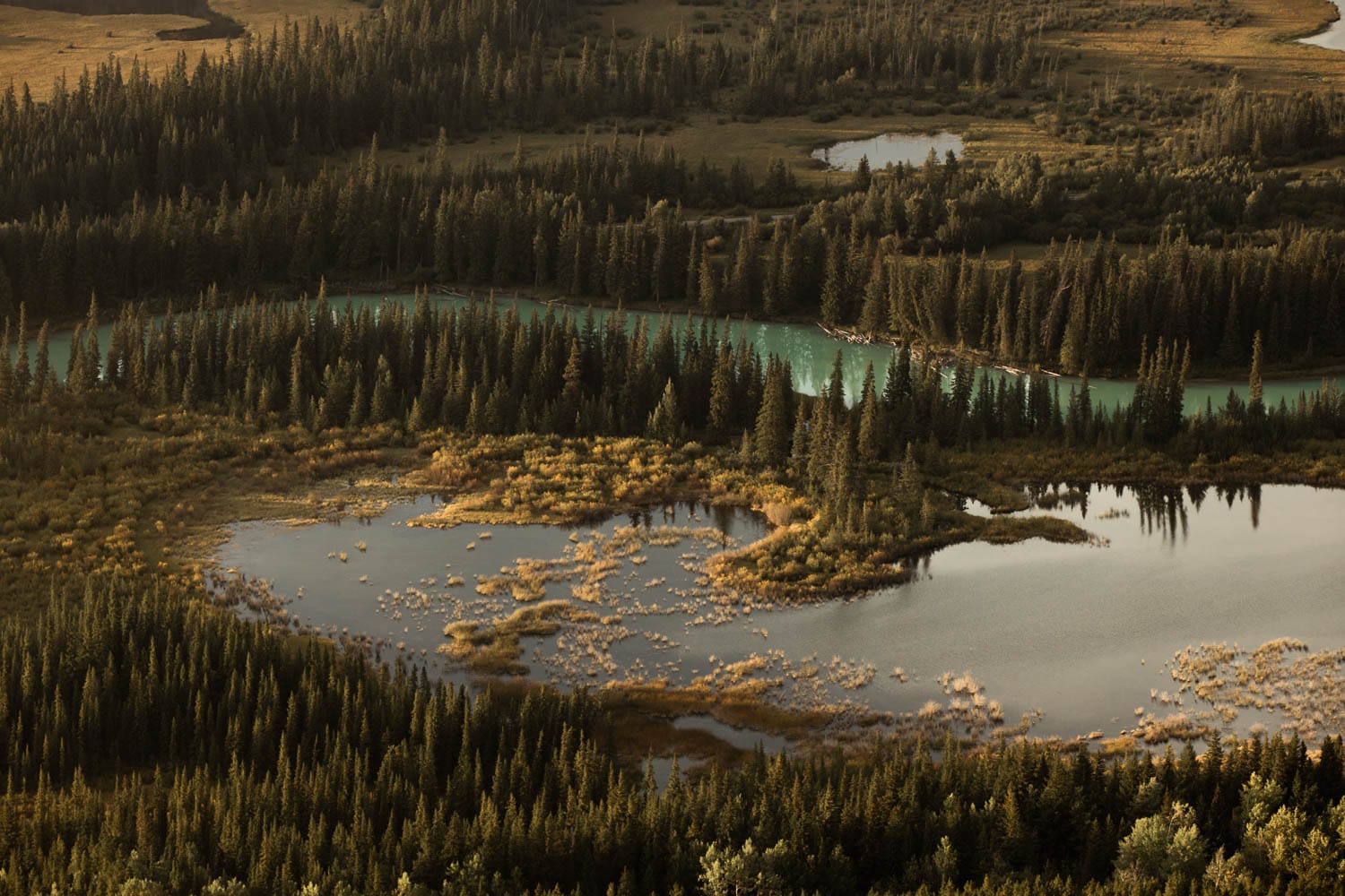 Banff river landscape