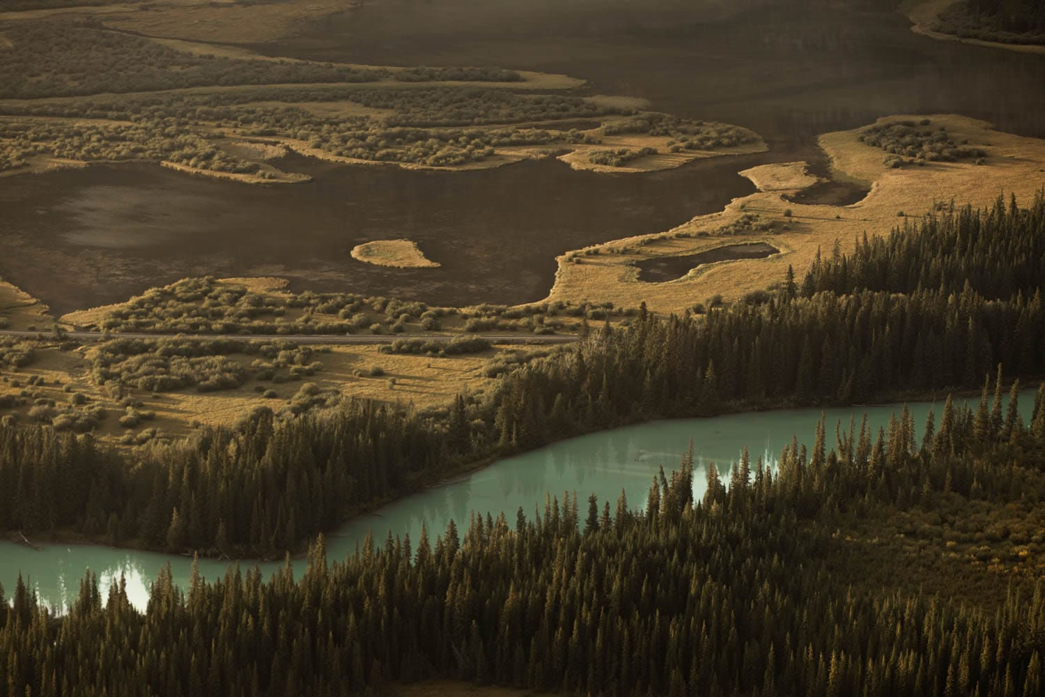 Banff river landscape