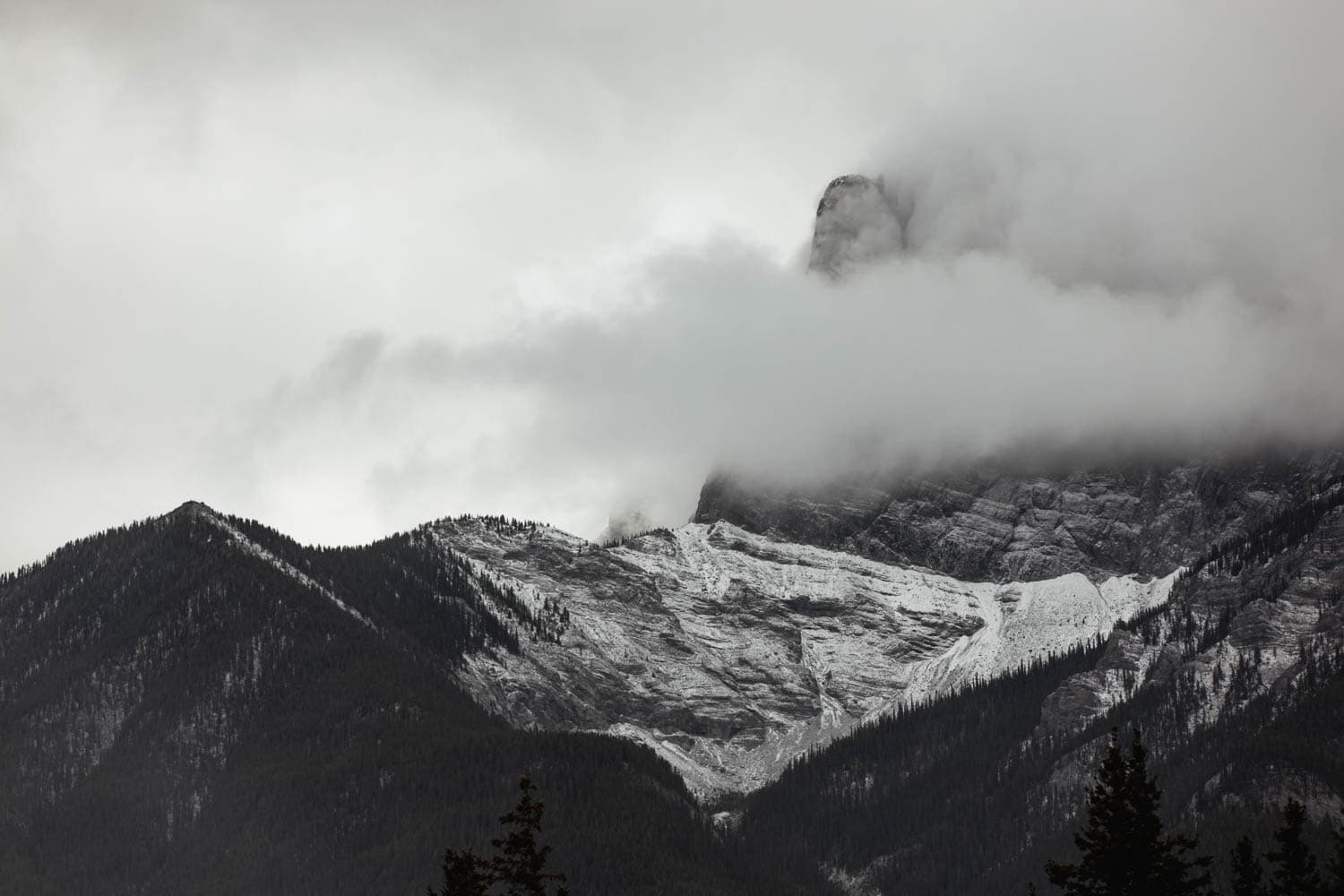 Canmore Landscape