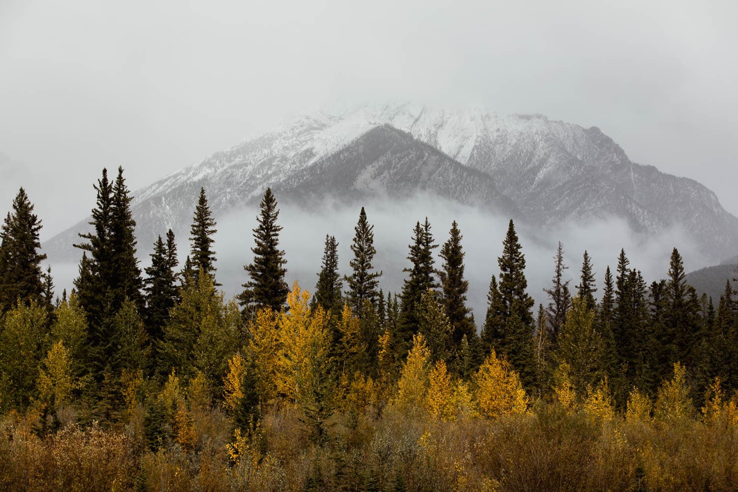 canmore landscape