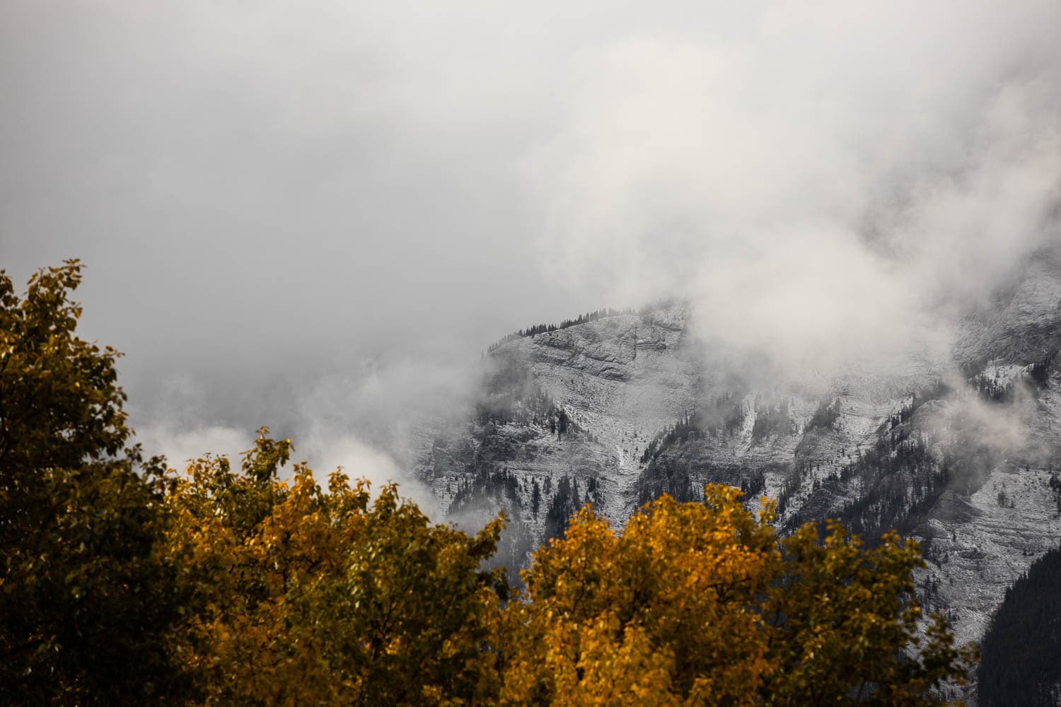 canmore landscape