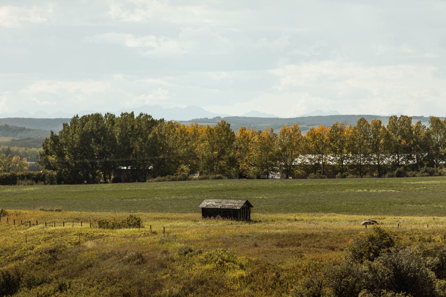 Sirocco Golf Club Barn