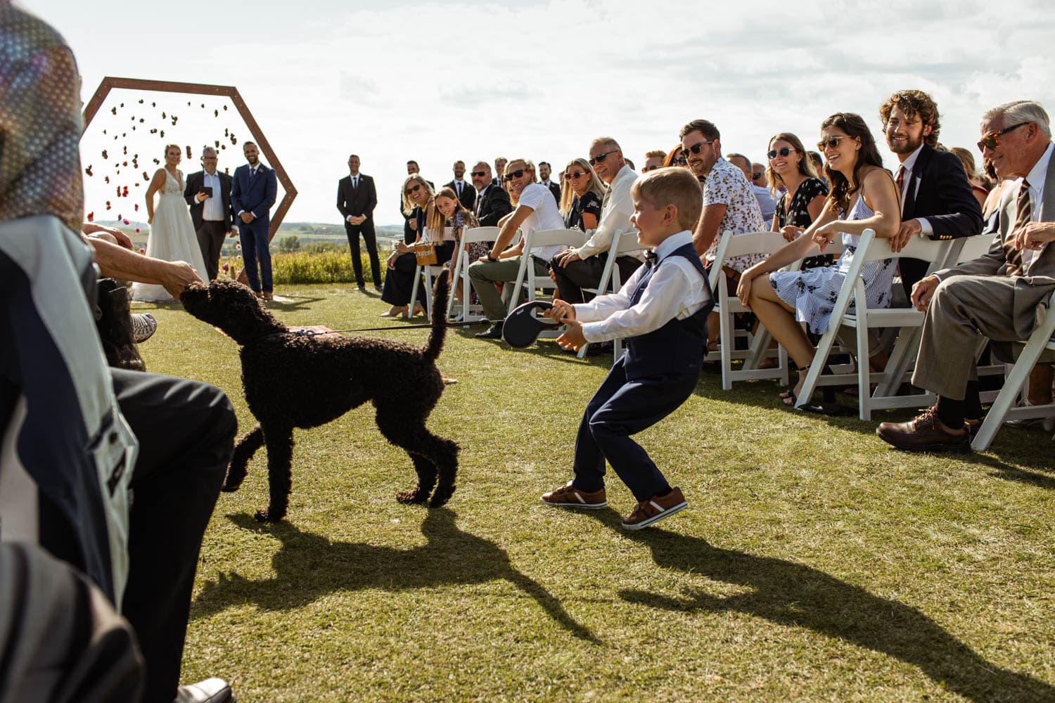 ring boy and dog walking down aisle