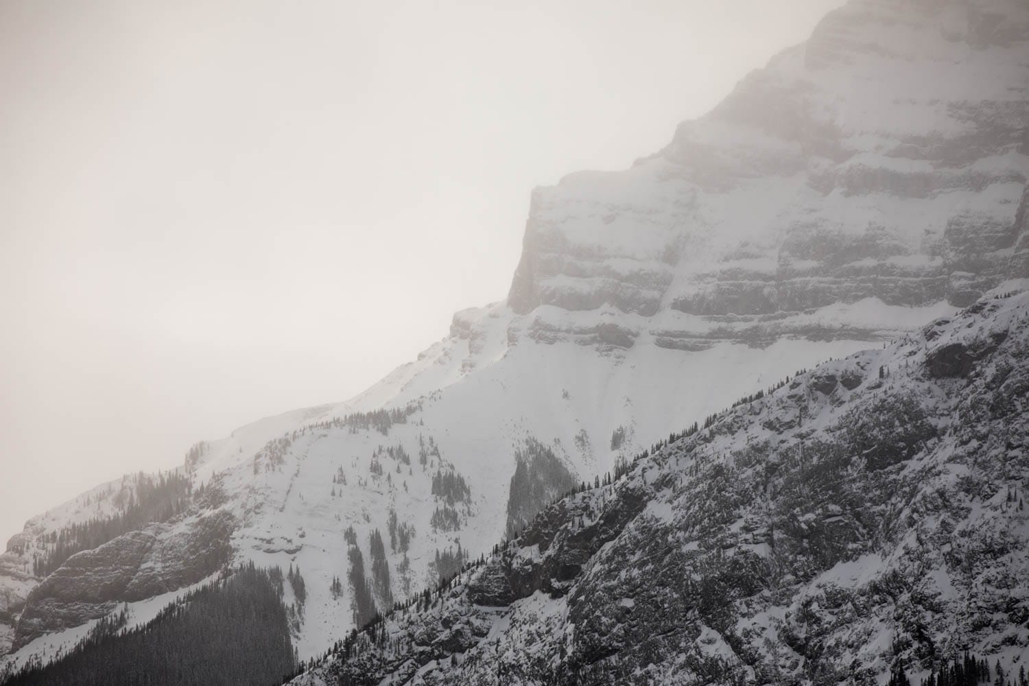 Banff Winter Landscape