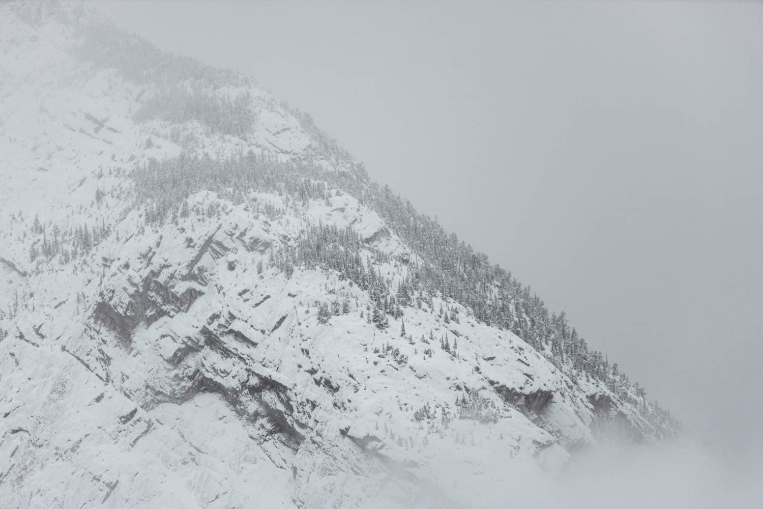 Banff Winter Scenery