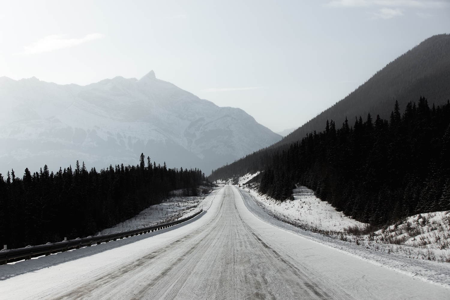 driving towards Abraham Lake