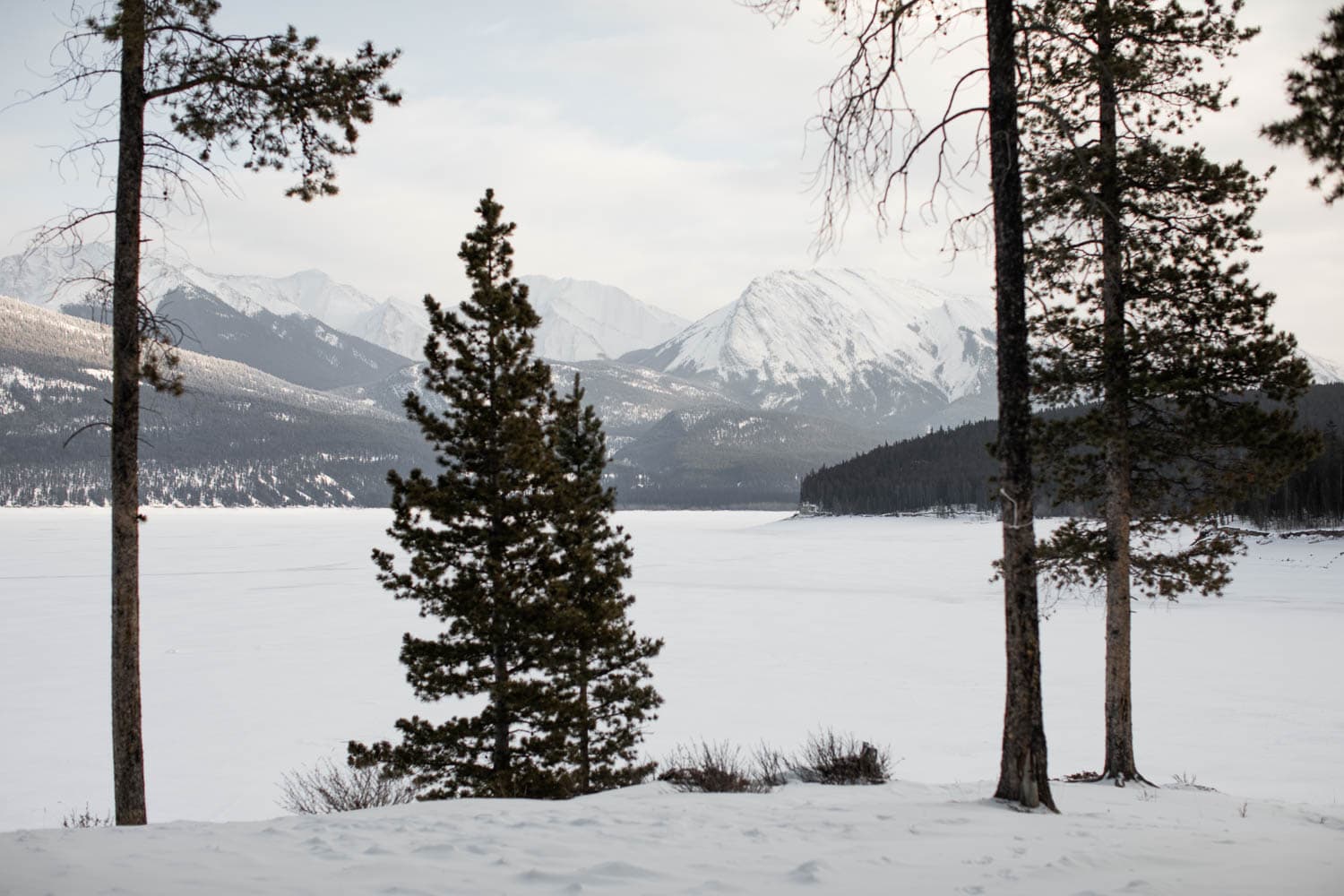 Abraham Lake Winter