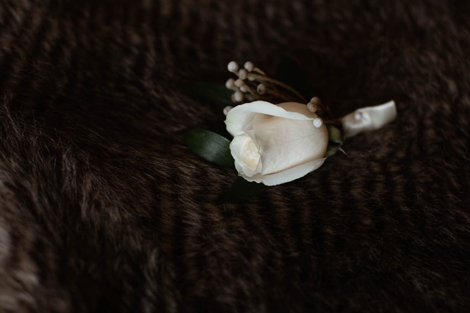 Grooms boutonnière 