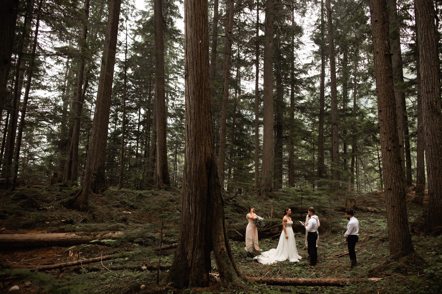 Forest elopement ceremony