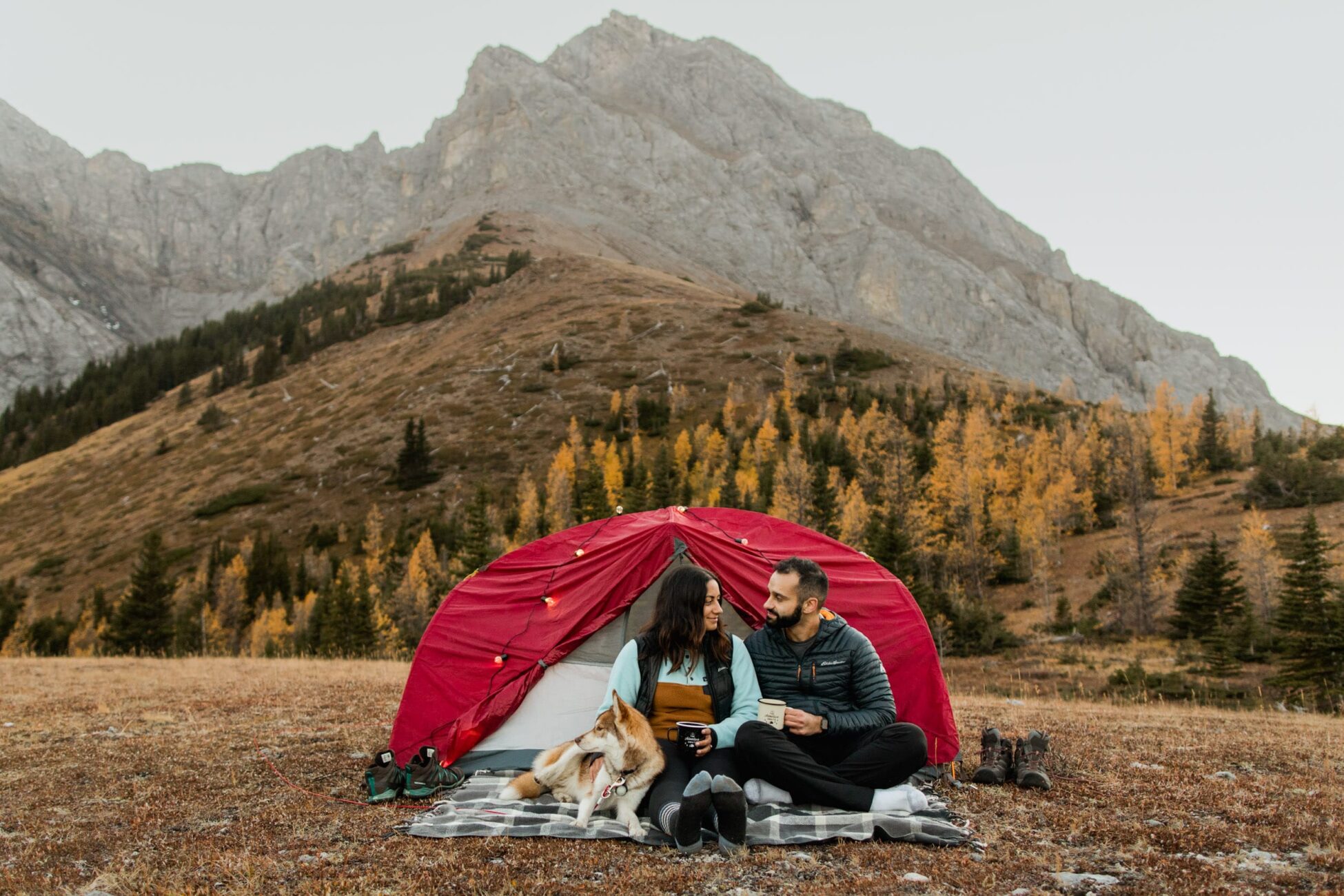 Backcountry Camping Engagement in Alberta Willow and Wolf