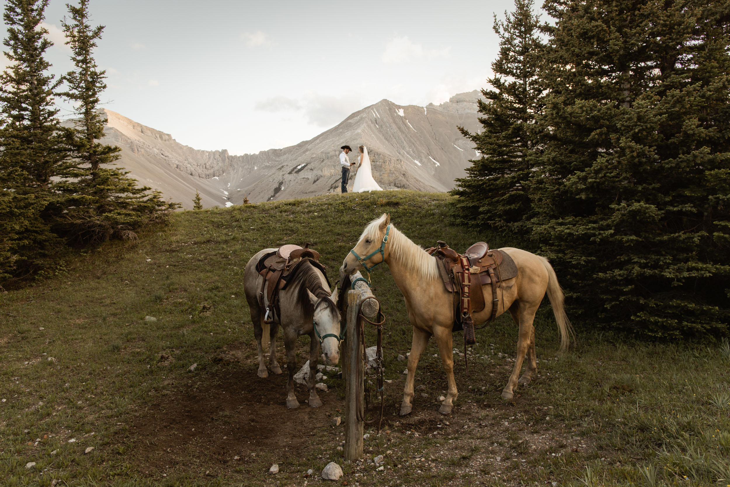 horseback elopement in Alberta Canada